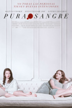 Imagen de Purasangre - 2