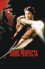 Imagen de Arma perfecta - 2