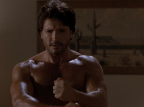 Imagen de Arma perfecta - 1