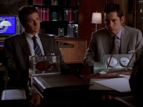 Imagen de Sin rastro (T7): Ep.21 Laberintos - 1