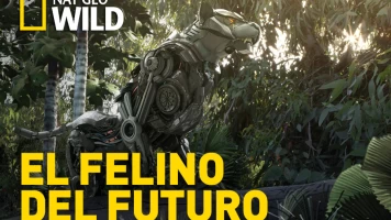 El felino del futuro