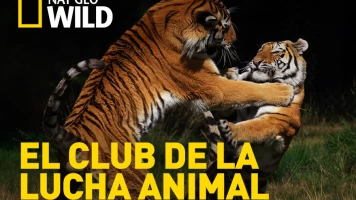 El club de la lucha animal