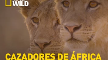 Cazadores de África