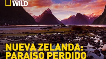 Nueva Zelanda: Paraíso perdido