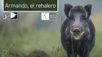 Armando, el rehalero