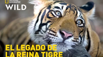 El legado de la reina tigre