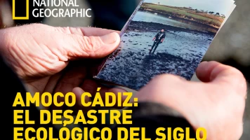 Amoco Cádiz: el desastre ecológico del siglo