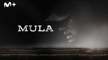 Mula