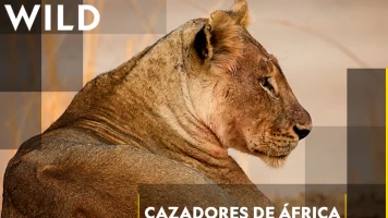 Cazadores de África