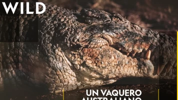 Un vaquero australiano