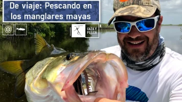 De viaje: pescando en los manglares mayas