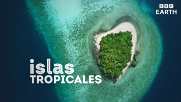 Islas tropicales