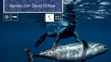 Apnea con David Ochoa