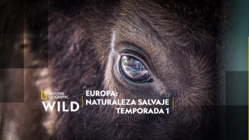 Europa: naturaleza salvaje