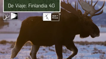 De viaje: Finlandia 4G