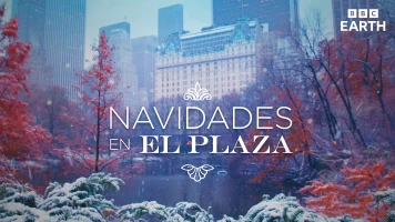 Navidades en el Plaza