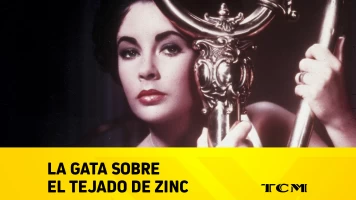 La gata sobre el tejado de zinc