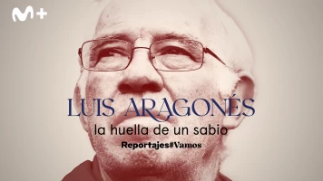 Luis Aragonés, la huella de un sabio