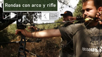 Rondas con arco y rifle