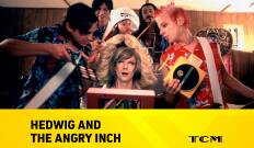 Hedwig and the Angry Inch