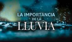 La importancia de la lluvia