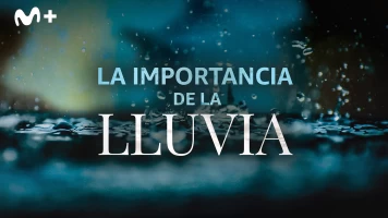 La importancia de la lluvia