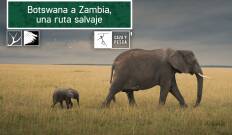 Botswana a Zambia una ruta salvaje