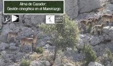 Alma de cazador: Gestión cinegética en el maestrazgo