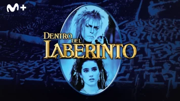 Dentro del laberinto