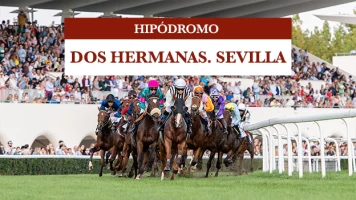 Hipódromo Dos Hermanas. Sevilla. T(2024). Hipódromo Dos... (2024): Jornada 01/12/2024