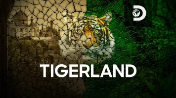 Tigerland