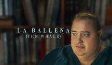 (LSE) - La ballena (The Whale)