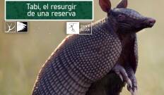 Tabi, el resurgir de una reserva