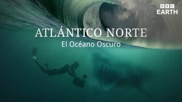 Atlántico Norte: el océano oscuro