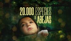 (LSE) - 20.000 especies de abejas