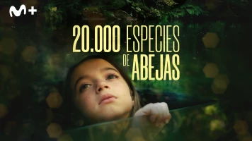 20.000 especies de abejas