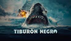 Tiburón negro