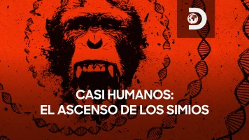 Casi humanos: el ascenso de los simios