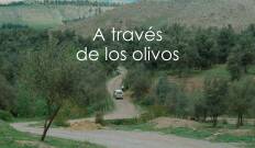 A través de los olivos