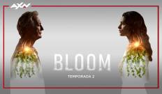 Bloom