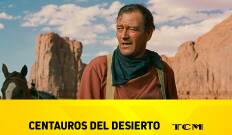 Centauros del desierto