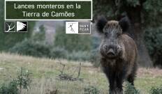 Lances monteros en la Tierra de Camöes