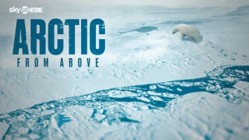 Arctic from Above