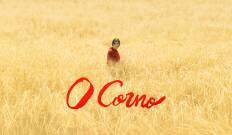 O corno