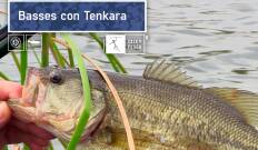 Basses con Tenkara