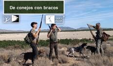 De conejos con bracos