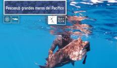 Pescasub, grandes meros del Pacífico