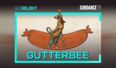 Gutterbee