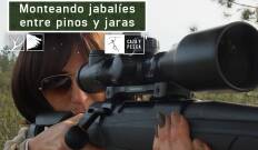 Monteando jabalíes entre pinos y jaras