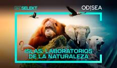 Islas: laboratorios de la naturaleza